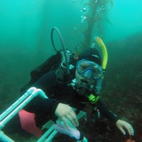 SERC diver Lina Ceballos helps conduct surveys of the rocky reefs off central California’s coast to determine where, when and how introductions of non-native marine species occur and how they spread along the west coast. (Photo by Michelle Marraffini)