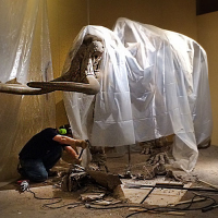 Before the Stegomastodon could be moved, the surrounding exhibiti flooring had to be pried away--a dusty job.