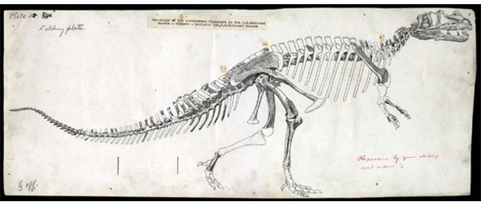 How do you dismantle a dinosaur? (Very carefully.)