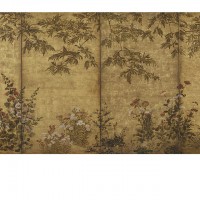 Mimosa Tree, Poppies and Other Summer Flowers. “Inen” seal; Japan, Edo period, 1630-1670; Screen (four panel); ink, color and gold on paper; H x W: 167.4 x 353.4 cm (65 7/8 x 139 1/8 in); Gift of Charles Lang Freer, F1902.92; Freer Gallery of Art, Smithsonian