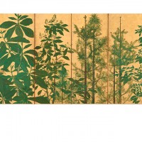 Trees. By the artist of the “Inen” seal; Japan, Edo period, mid-17th century; Pair of screens (six panel); ink, color and gold on paper; H x W: 154 x 357.8 cm (60 5/8 x 140 7/8 in); Purchase, F1962.30-31; Freer Gallery of Art, Smithsonian