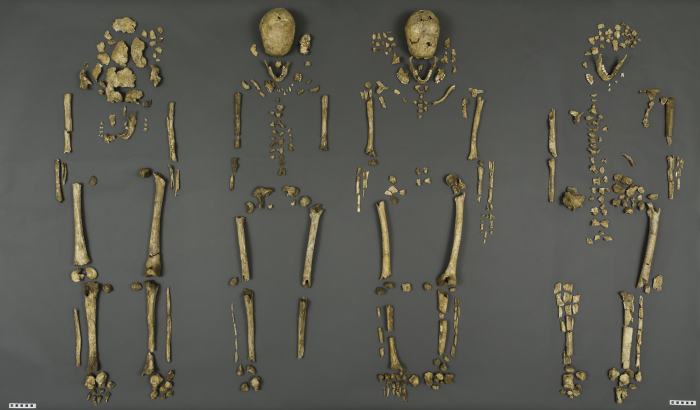 The bones were poorly preserved, with only about 30 percent of each skeleton recovered, but the Smithsonian’s research team determined the sex, age at death, diet and presence of heavy metals for each individual. In July 2015, a team of scientists from the Smithsonian’s National Museum of Natural History and Jamestown Rediscovery announced the identities of Rev. Robert Hunt, Capt. Gabriel Archer, Sir Ferdinando Wainman and Capt. William West, high-status leaders who helped shape the future of America during the initial phase of the Jamestown colony. (Photo by James Di Loreto / Smithsonian Institution)