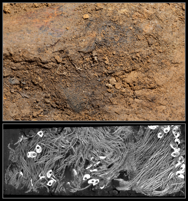 The Jamestown research team used a micro-CT scan to reveal highly decayed remnants of a military leader’s sash buried in a block of surrounding soil in the grave of Capt. William West. In July 2015, a team of scientists from the Smithsonian’s National Museum of Natural History and Jamestown Rediscovery announced the identities of Rev. Robert Hunt, Capt. Gabriel Archer, Sir Ferdinando Wainman and Capt. William West, high-status leaders who helped shape the future of America during the initial phase of the Jamestown colony. Image credit: Donald E. Hurlbert / Smithsonian Institution (Top); Mark L. Riccio / Cornell BRC CT Imaging Facility (Bottom)