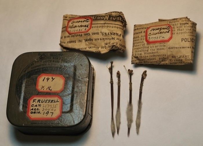 Akimel O’odham (Pima) tattooing kit from Arizona collected by Frank Russell, ca. 1900. Tattoos were made using cactus spines tied together with cotton. Creosote and mesquite charcoal were rubbed into the wounds. (Image courtesy Department of Anthropology, Smithsonian Institution)