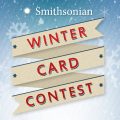 Winter Card Contest poster
