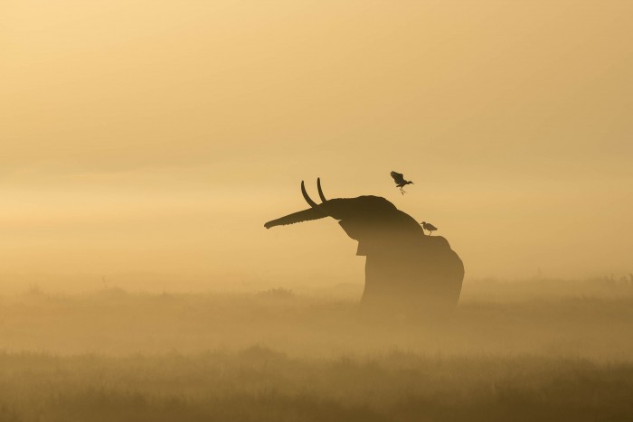 © Stuart Porter / Nature's Best Photography Awards. Courtesy of Smithsonian’s National Museum of Natural History.