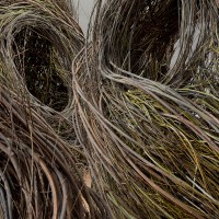 Patrick Dougherty, Shindig, 2015 Renwick Gallery of the Smithsonian American Art Museum Photos by Ron Blunt