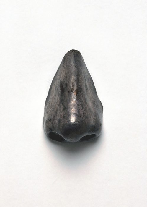 Full view of an artificial nose made of brass