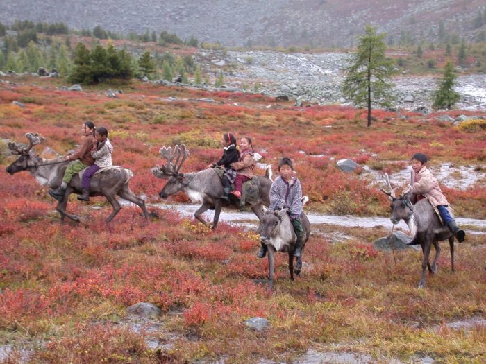 Mongolian children riding reindeer in field of autumn colored grasses