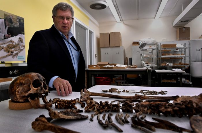 Owsley stands looking at bones spread on table