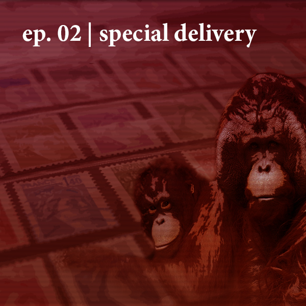 Sidedoor: Special Delivery