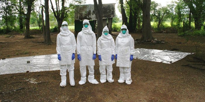 Four people in HAZMAT suits stand in front of collection tarps