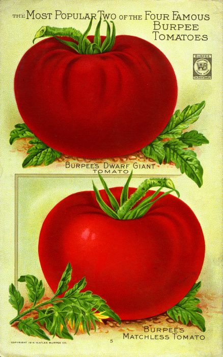 colorful ad featuring red tomatoes