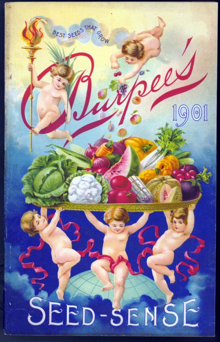 Seed catalog cover showing cherubs holding vegetables