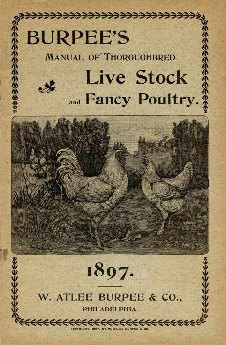 Catalog cover with drawing of chickens