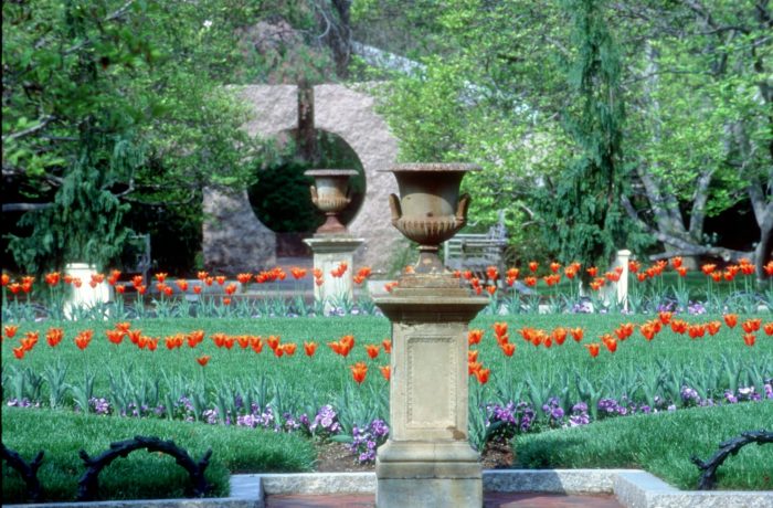 View of garden with tulips