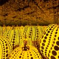 Room of Yellow and black-spotted pumpkins