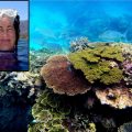 Close-up of Mary Hagedorn superimposed on larger photo of coral reef