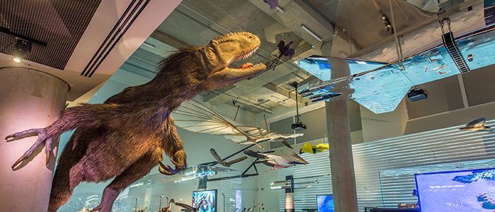 Affiliate Spotlight: Phillip and Patricia Frost Museum of Science