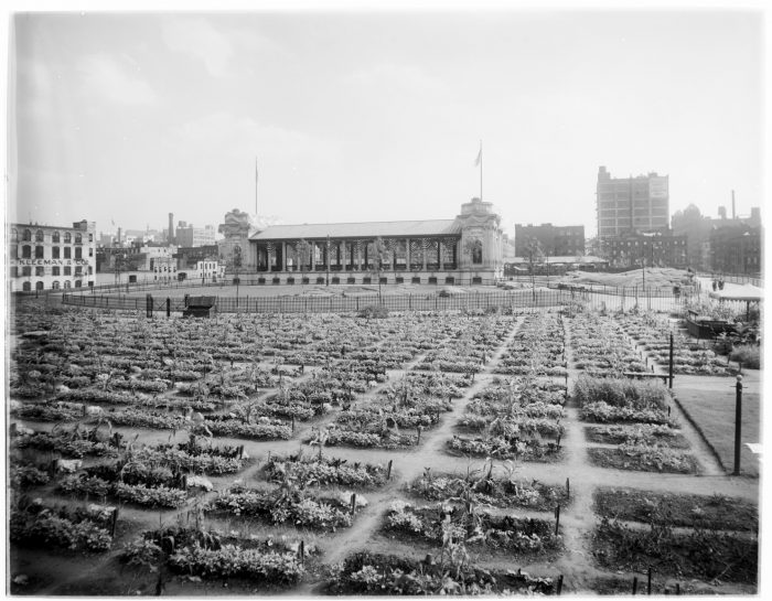 Garden plots with ampitheater and city streets in background