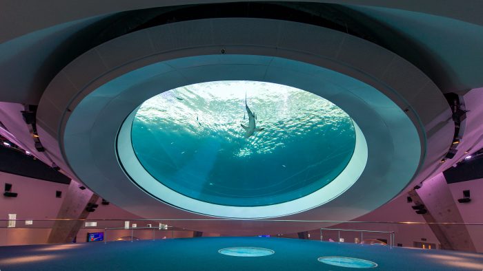 Aquarium seen from below