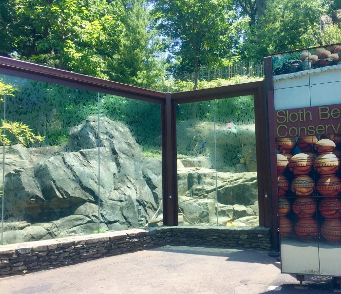 etched glass at the sloth bear enclosure