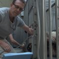 Vet examines panda in cage