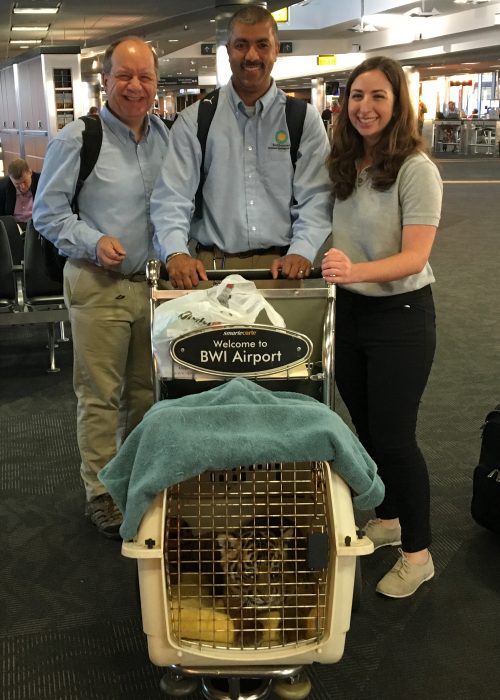 keeprs with tiger cub at airport