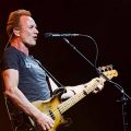 Sting in performance