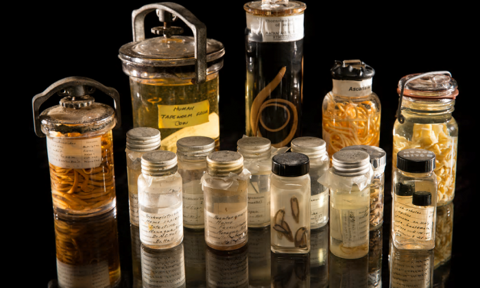 Specimen jars