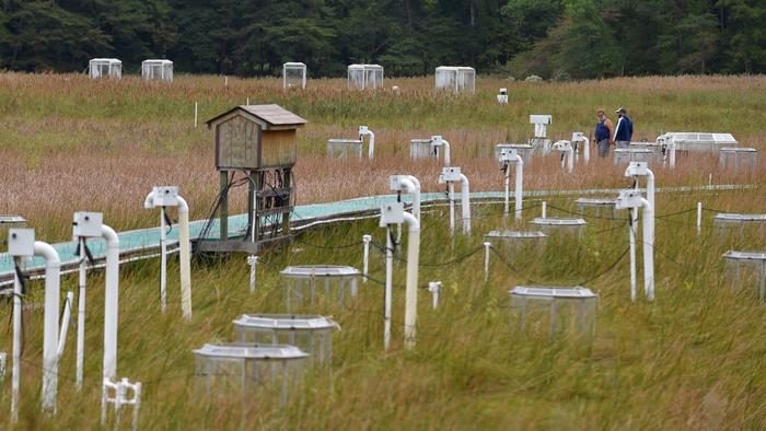 Marsh with boardwalk and measuring stations