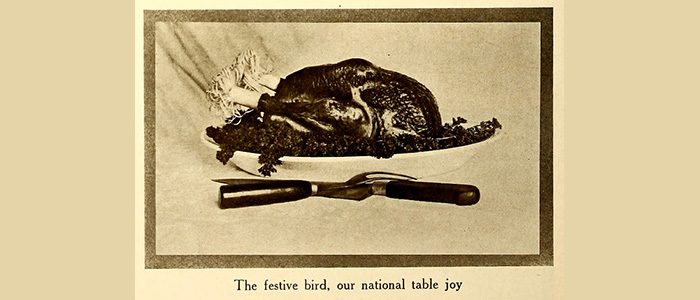 Take a trot through our collections for all things turkey