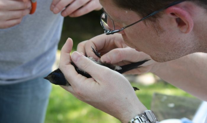 Close up of man holding bird