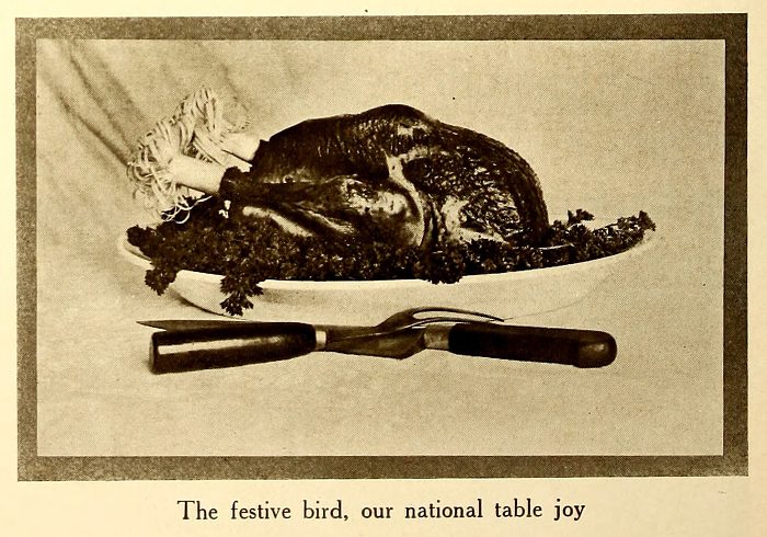 Page showing roasted turkey