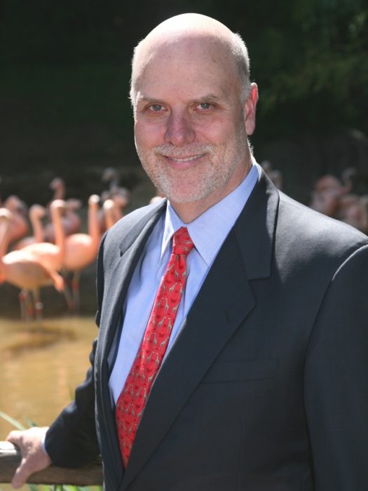 Formal photo of Kelly with flamingos in background