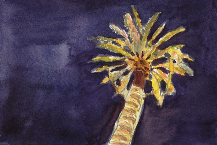 watercolor of palm tree with Christmas lights