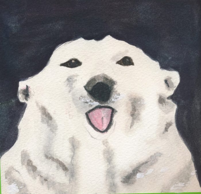 watercolor of polar bear