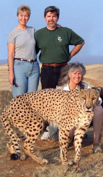 Researchers with cheetah