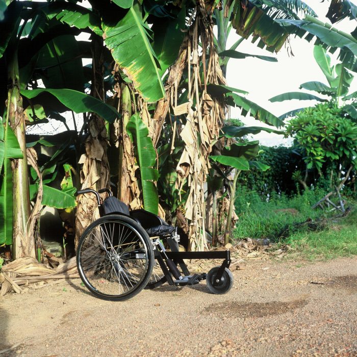 Wheelchair standing next to palm trees