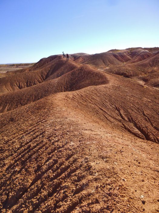 A sediment ridge creates a winding path in Petrified Forest National Park, Arizona.