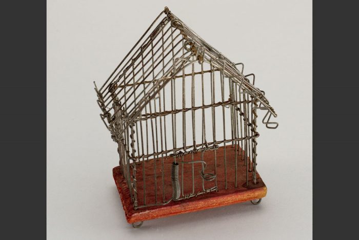 Wire cricket cage