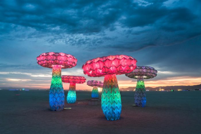 Illuminated mushroom sculptures