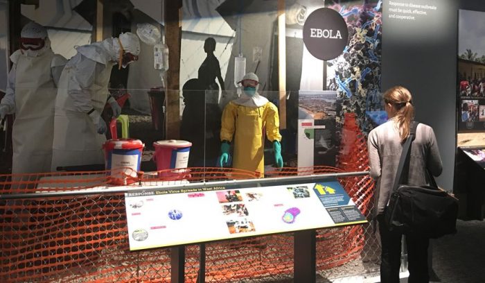 Ebola exhibition case