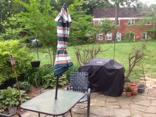 Patio of condo