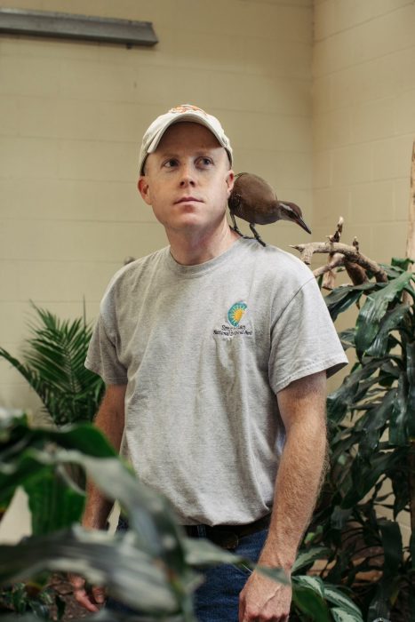 Crowe with bird on his shoulder