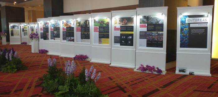 Exhibition panels
