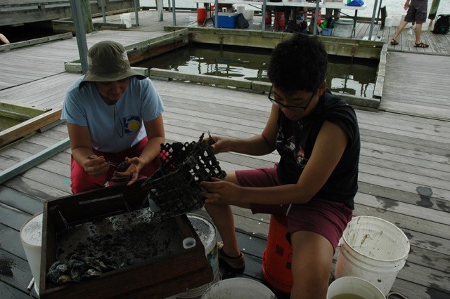 Two researchers empy crab trap