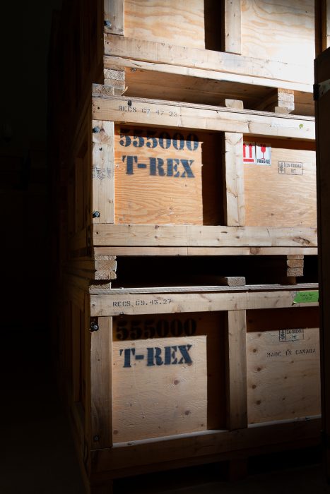 Stacked crates labeled T rex