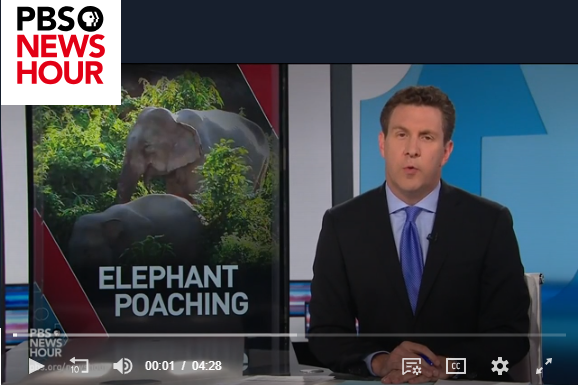 Screenshot from TV show about poaching