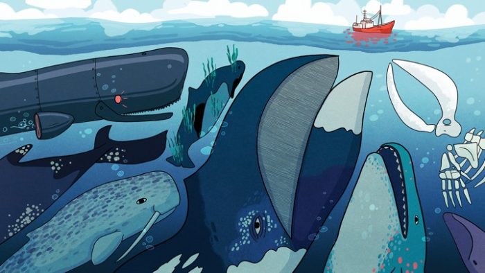 artist rendering of whales gathered beneath boat